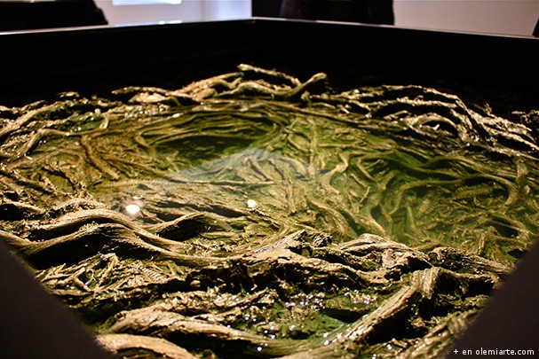 noticia_Crisitina_Iglesias_foto1